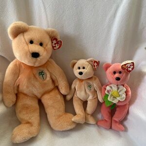 Dearest and Dearly Mother’s Day Beanie Babies Set